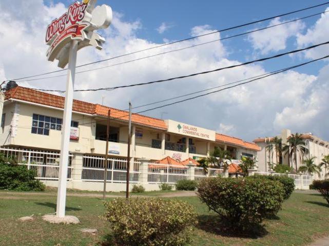 Oaklands Apartment Two Bedroom Kingston Ngoại thất bức ảnh